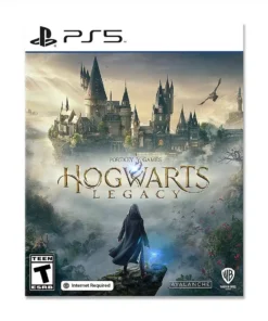 Hogwarts Legacy PlayStation 5